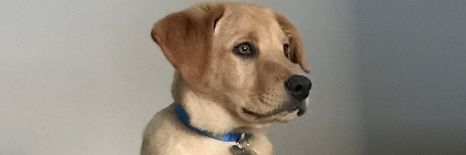 Flack_Attack2's profile banner image