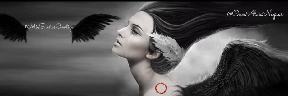 ConAlasNegras's profile banner image