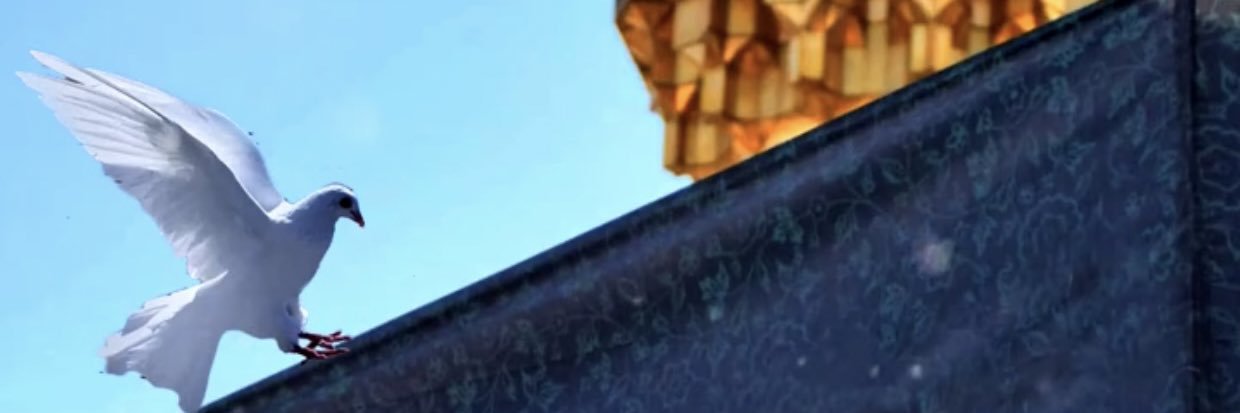 حمامة السلام🕊 banner