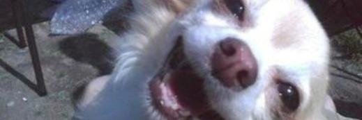 katreeena_'s profile banner image