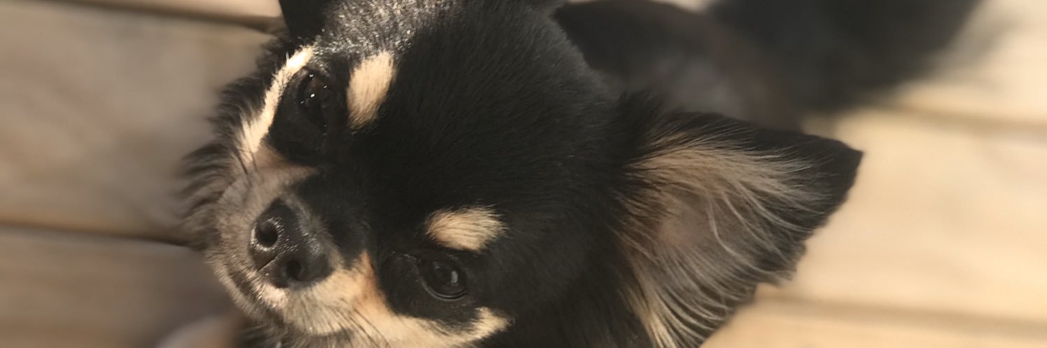 SarahRileyShoes's profile banner image