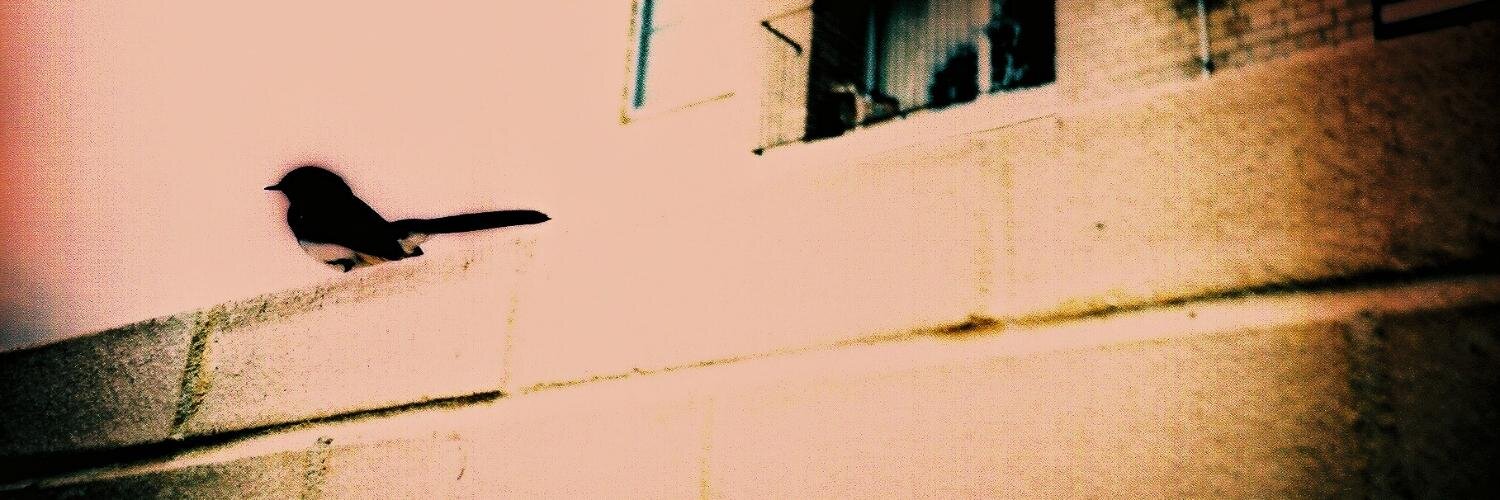 Twitter banner for @replication