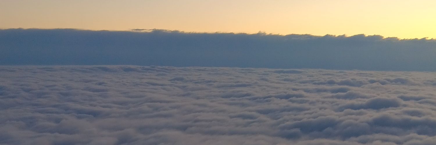 Picaricaro's profile banner image
