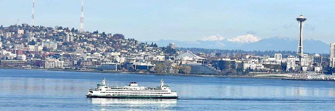 Shane Bernhardt 🏏🏈 banner