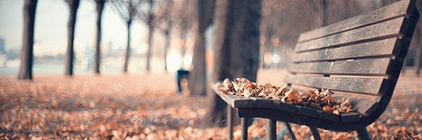 PINKSecretsxo's profile banner image