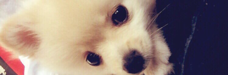 jttskyi's profile banner image