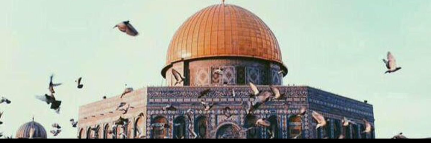 طلال غالي المغري banner