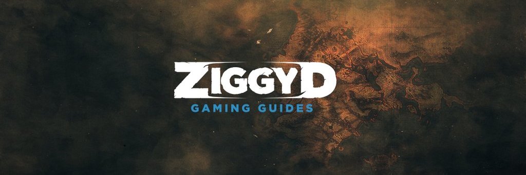 ZiggyD banner