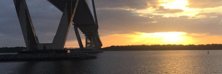 Mackenzie Horne banner