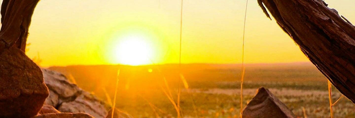 dmorolong's profile banner image