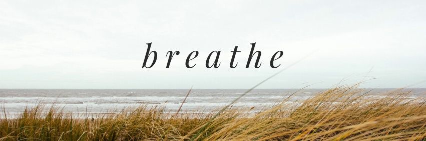 destyhrm's profile banner image