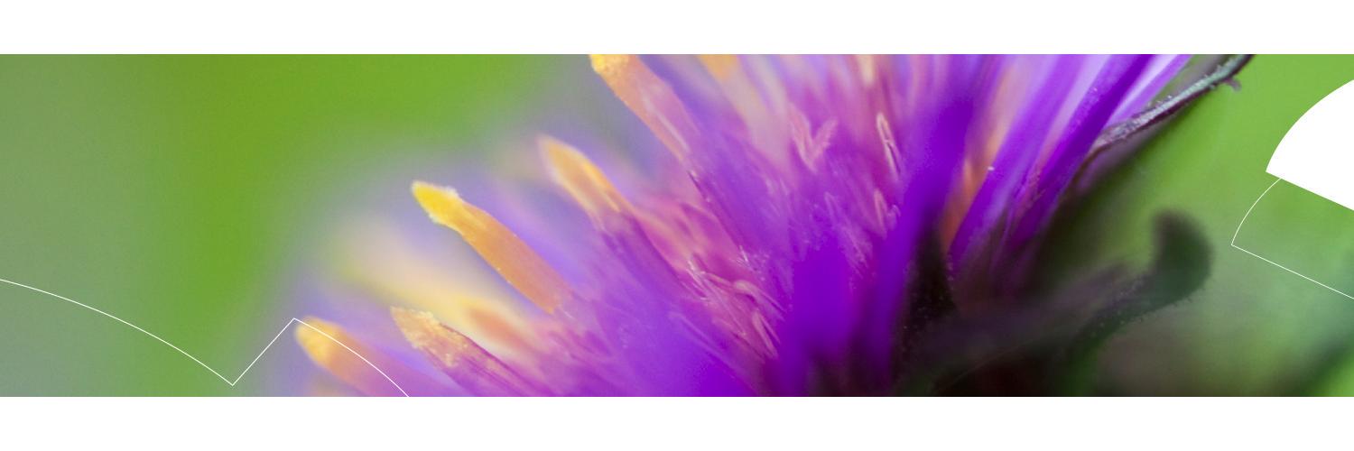 UnedoPrintmedia's profile banner image