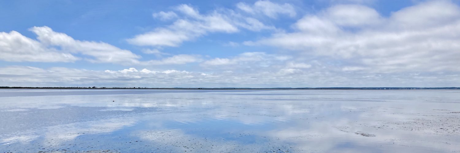 NotsukeCruise's profile banner image