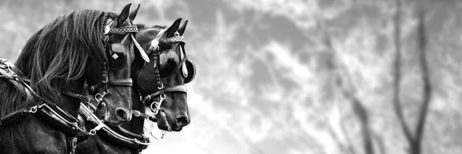 65G's profile banner image
