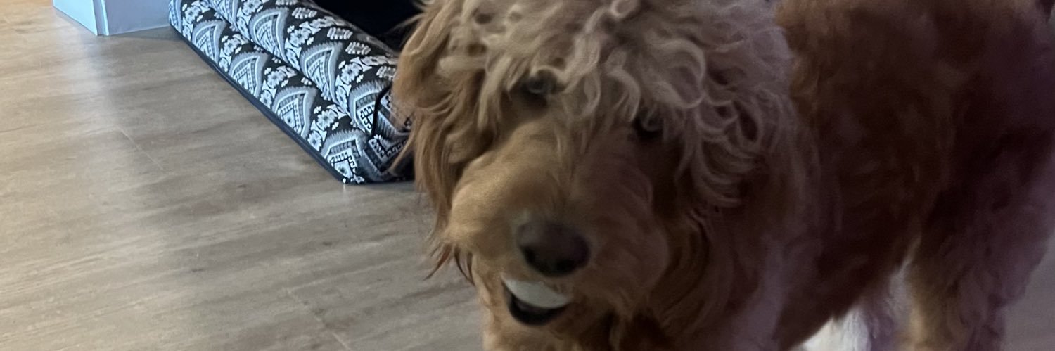 fernandogomezii's profile banner image