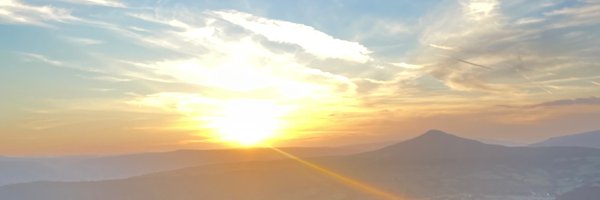 LauraTenison Profile Banner