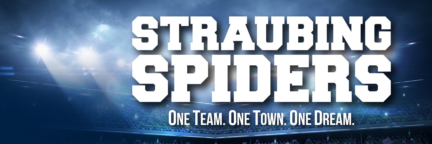 Straubing Spiders eV banner