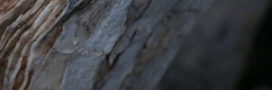 villepr's profile banner image