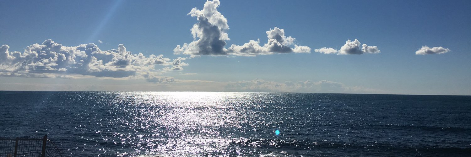 Daniele Solavaggione banner