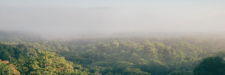 amunga23's profile banner image