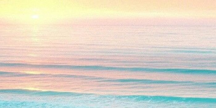 Imanuelisa's profile banner image