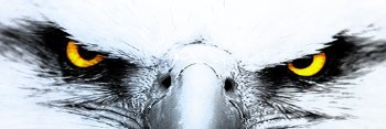 _beyaazz's profile banner image