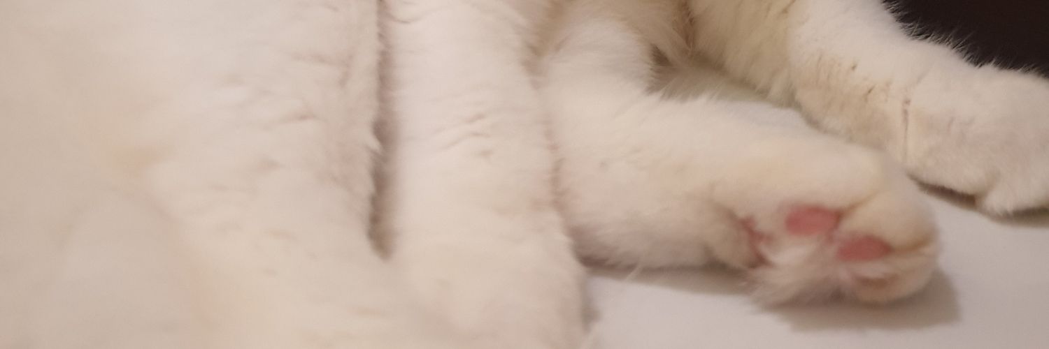 RizaVP's profile banner image