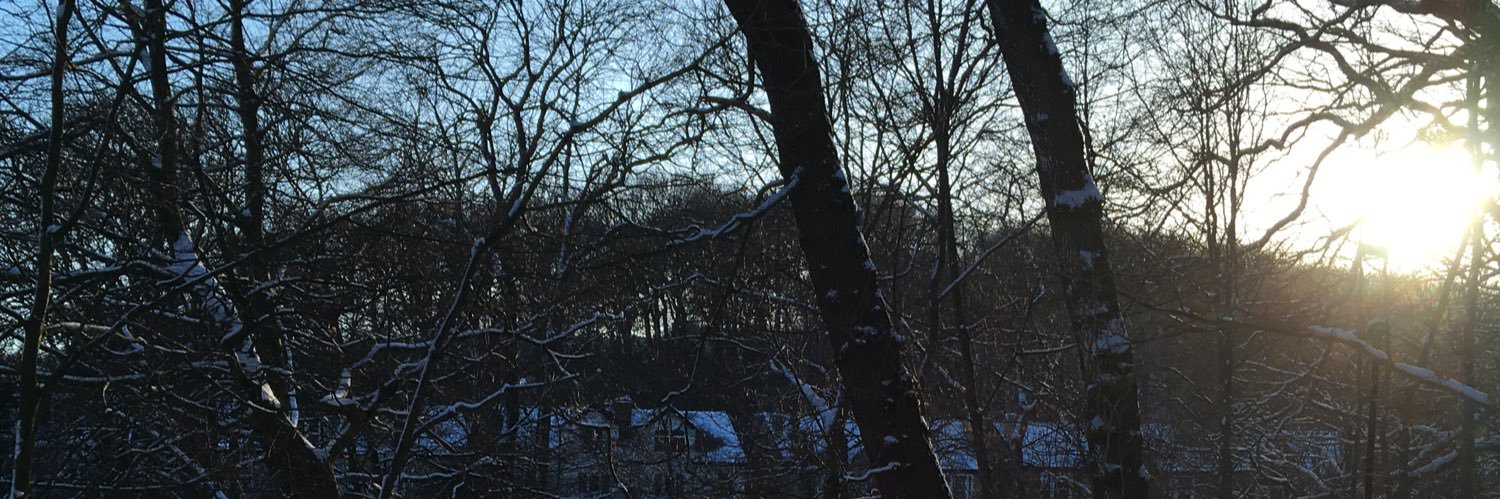 Didi_Sutherland's profile banner image