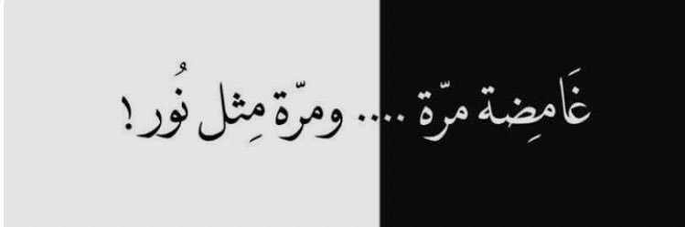 nee5_oo's profile banner image
