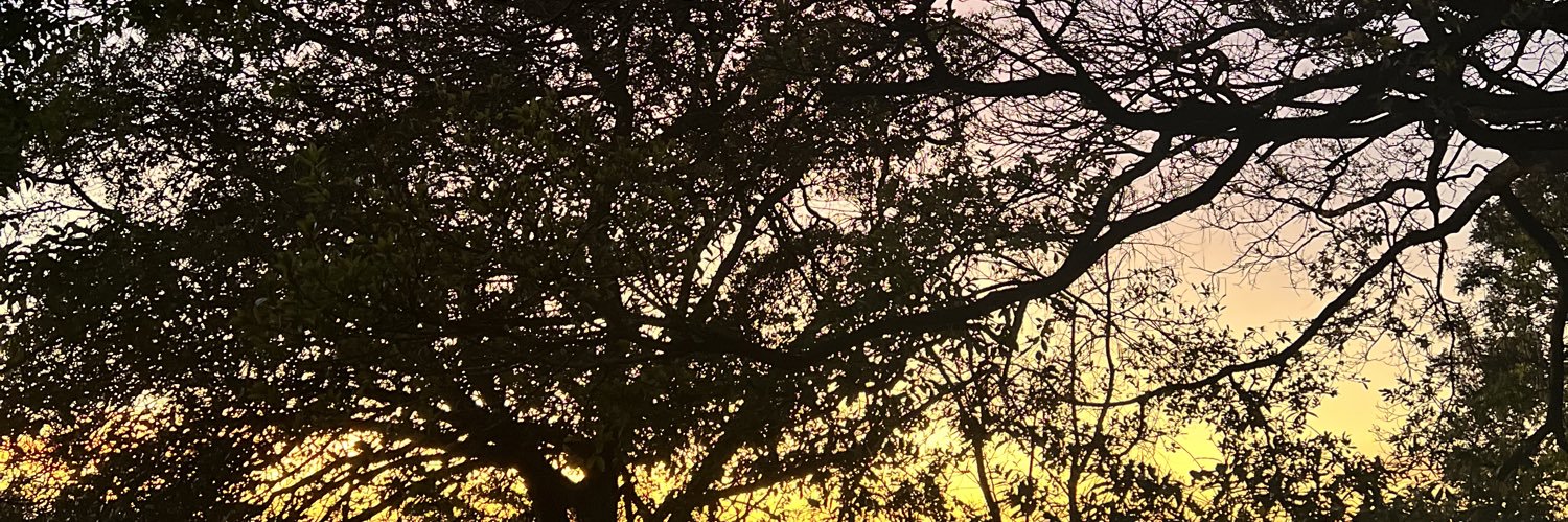 MurilloC__'s profile banner image