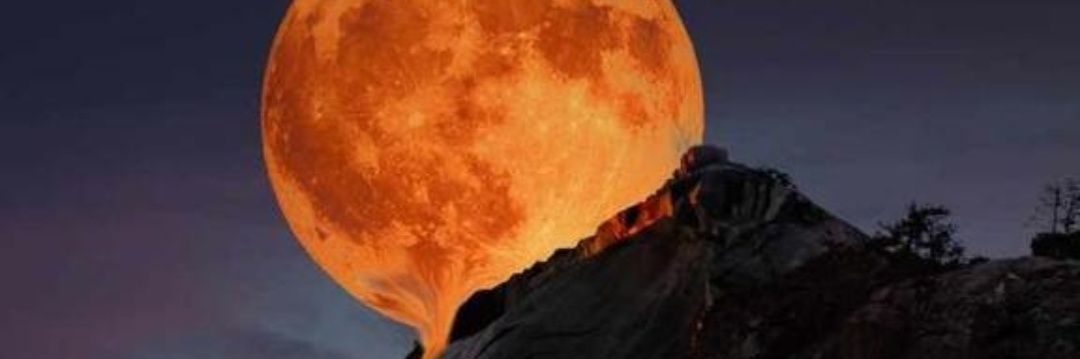babeleeuo's profile banner image