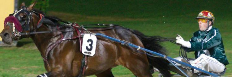 Joshua Dickie banner
