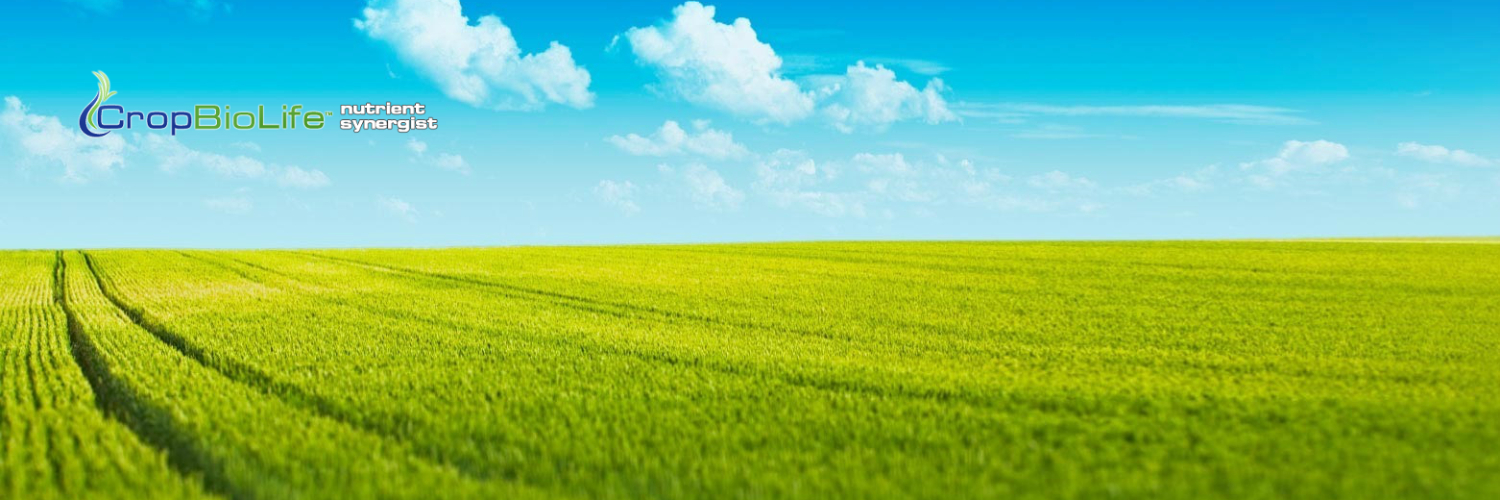 CropBioLife's profile banner image