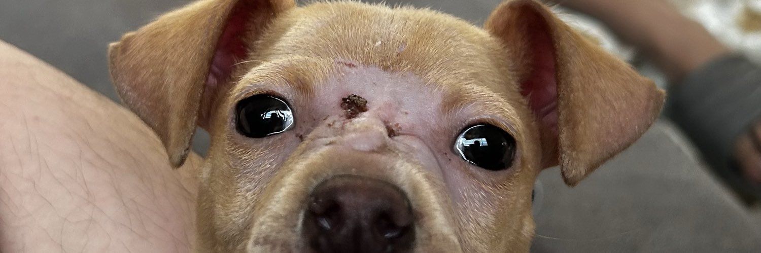 AlanHatake0's profile banner image