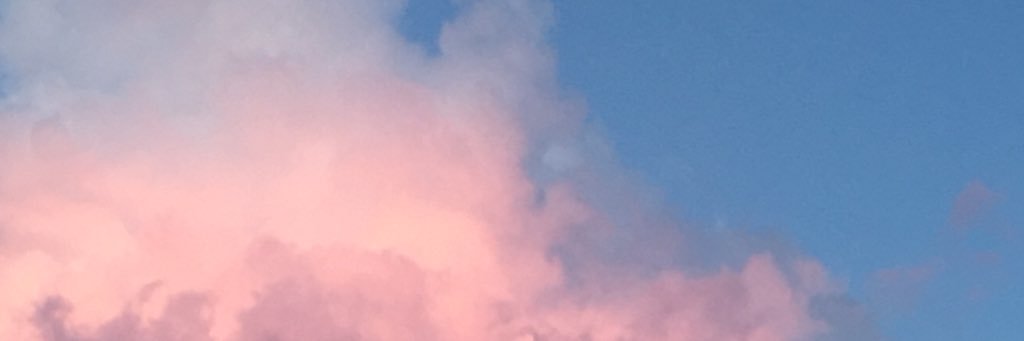 michelletiffner's profile banner image