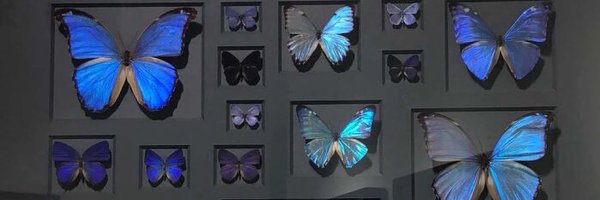 JessiHu96 Profile Banner