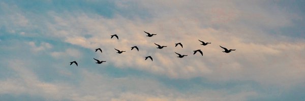 waarnemingenbe Profile Banner