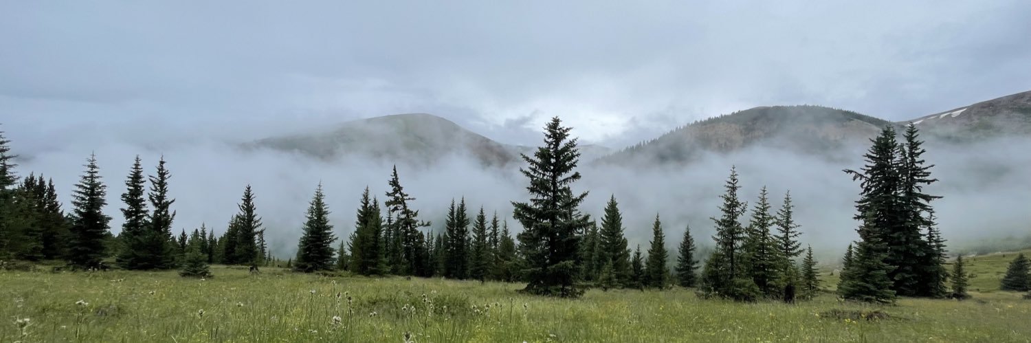 treeratTim's profile banner image