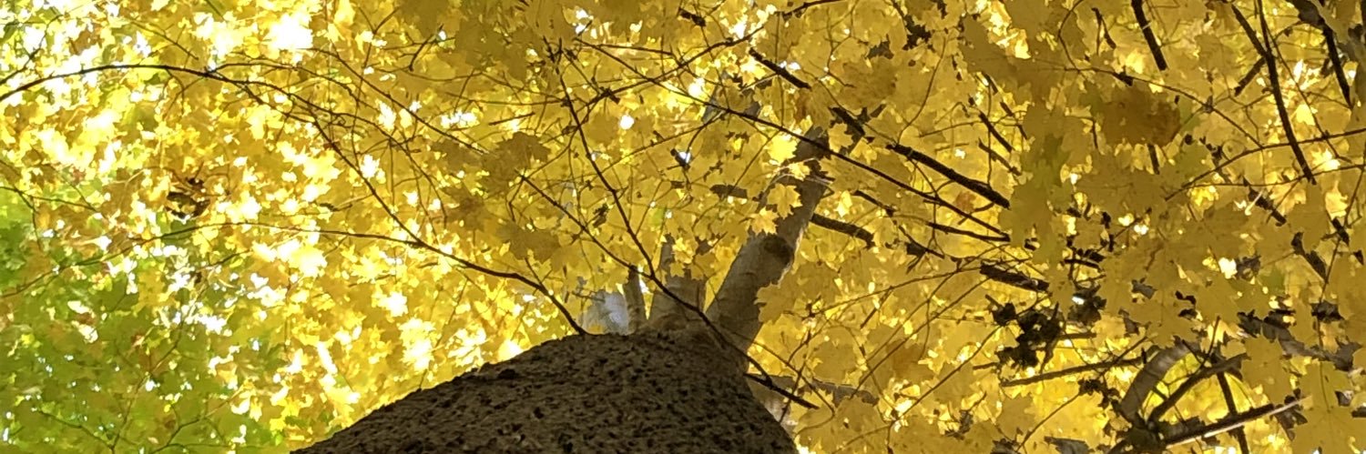 JennBean1996's profile banner image