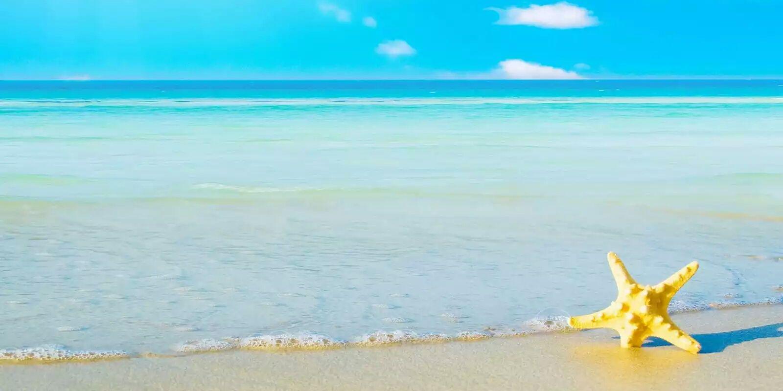 wilayulia's profile banner image