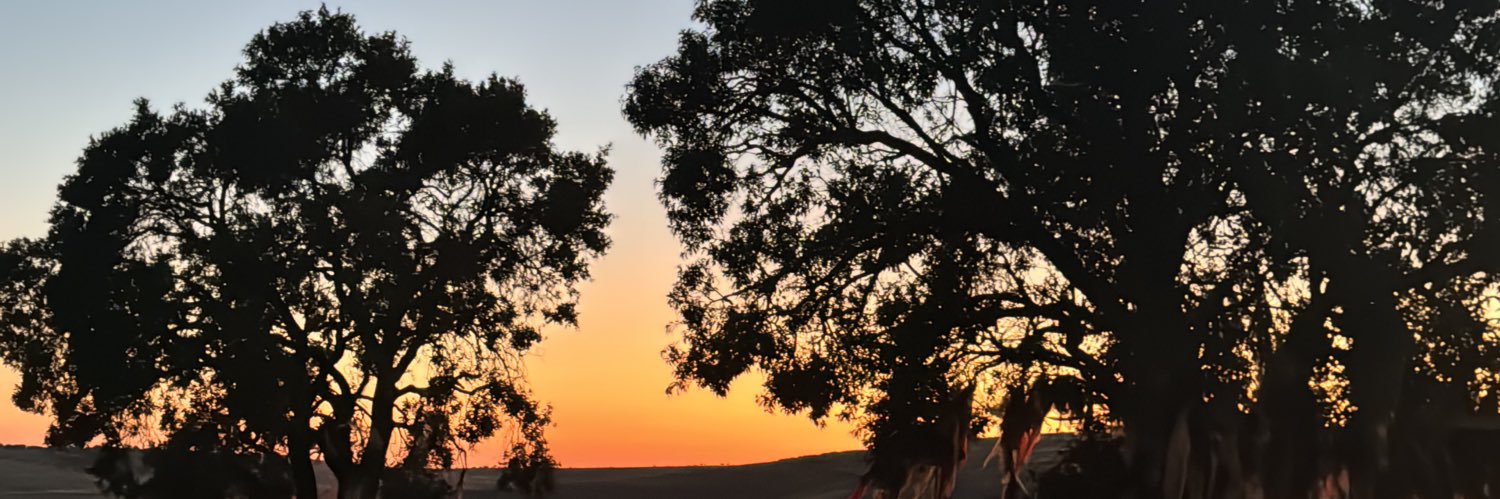 stcmrv's profile banner image