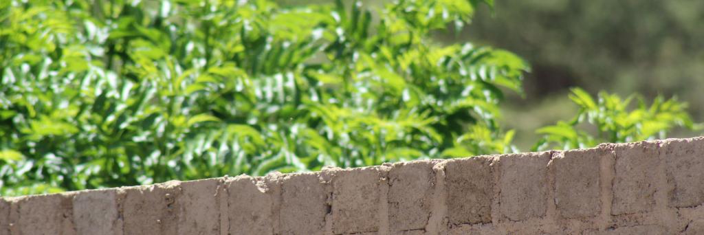 EngelberthDjami's profile banner image