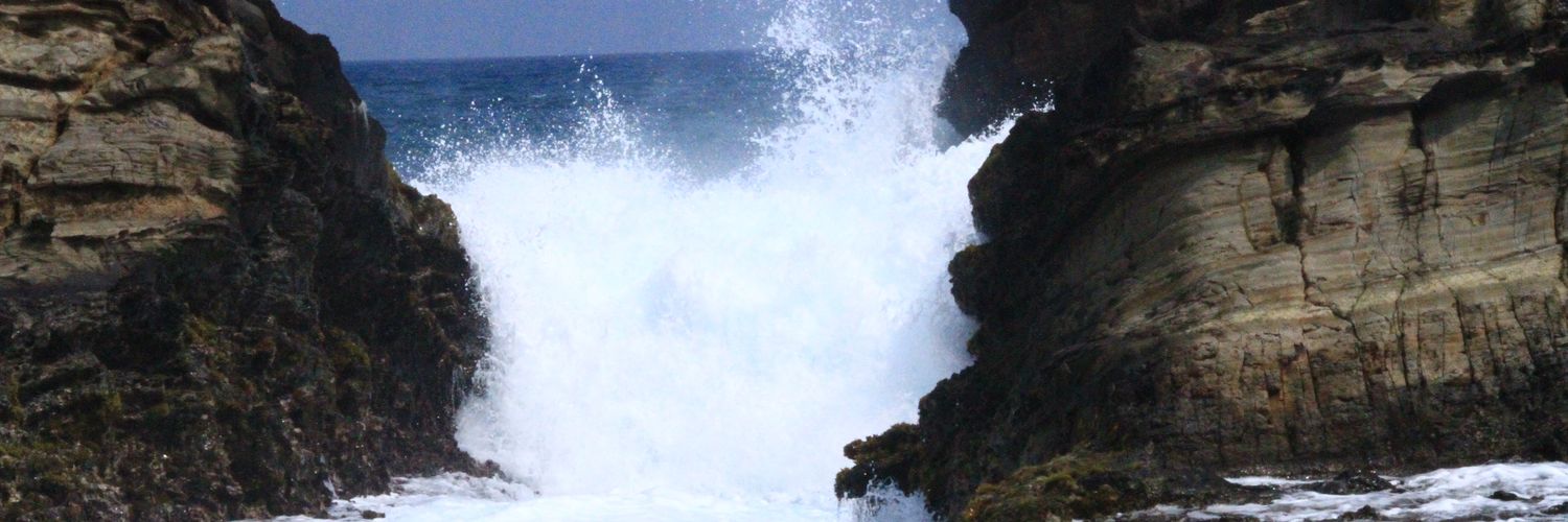 lindavesst's profile banner image