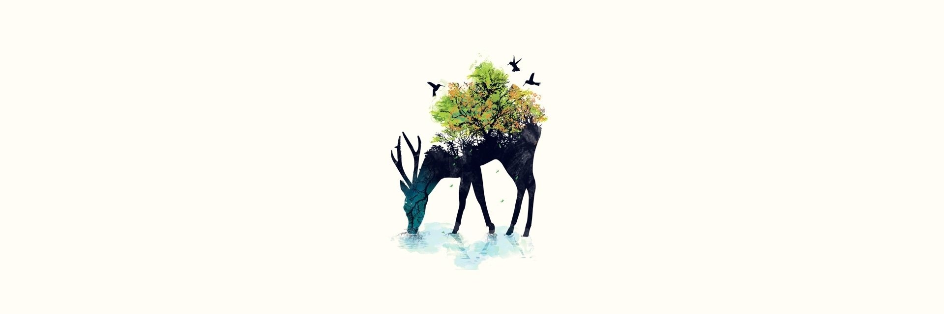 walshscott's profile banner image