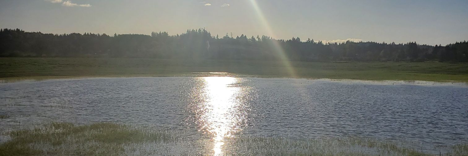 erinandelijah's profile banner image