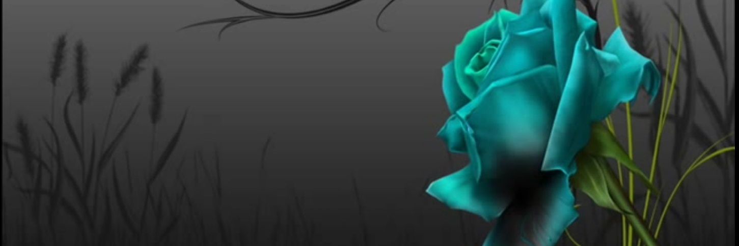 dawn4606's profile banner image