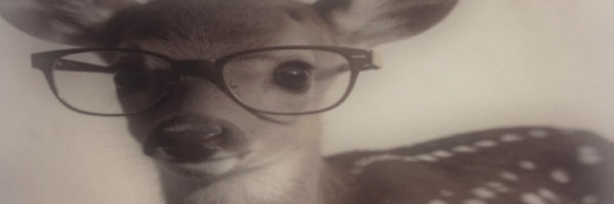 pouringrainin's profile banner image