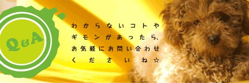 hanatoshippo's profile banner image