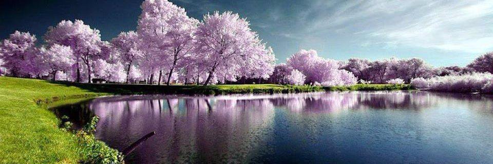 DIOS Y LIBERTAD !!! | Venezuela Clama Justicia banner