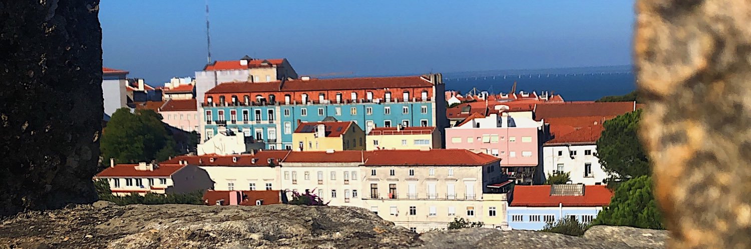 fenbitencourt's profile banner image